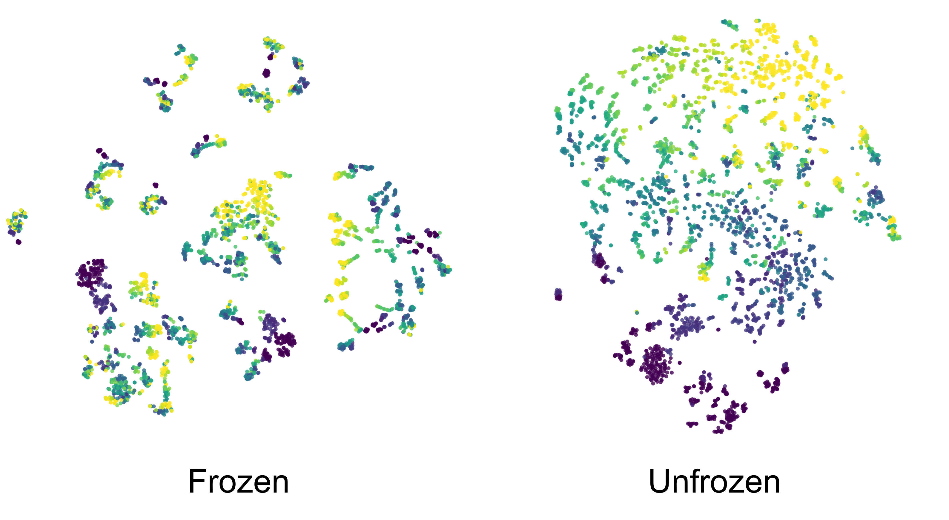 t-SNE of visual-prefix tokens with a frozen encoder and with fine-tuning